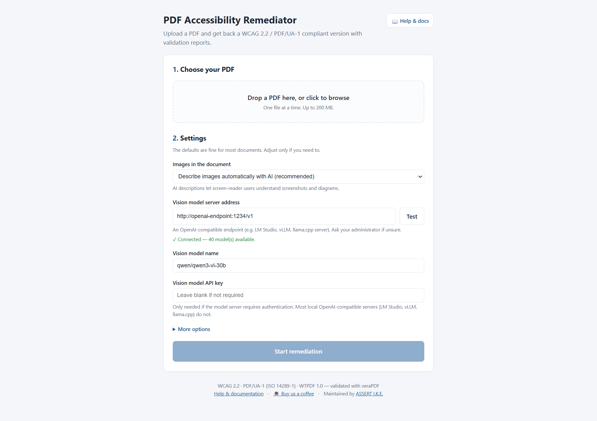 pdf_a11y web app — upload form with VLM connection check and the remediation start button