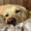 Avatar for welchr from gravatar.com