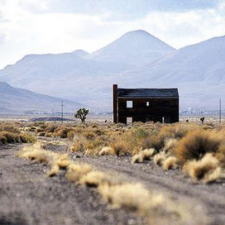 Avatar for blindx from gravatar.com