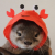 Avatar for botchedRPR from gravatar.com
