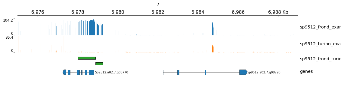 test plot non human