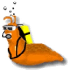 Avatar for Brian Towles from gravatar.com