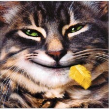 Avatar for zenwalk from gravatar.com