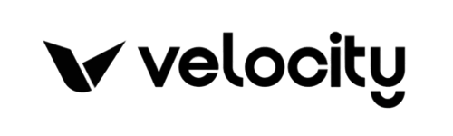 VelocityLLM