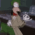 Avatar for Caripson from gravatar.com