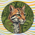 Avatar for sosavpm from gravatar.com