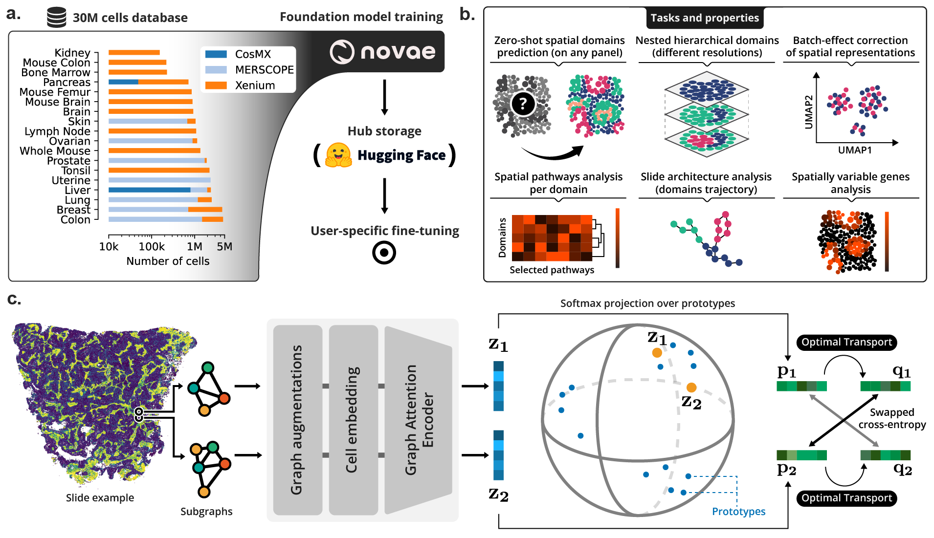 novae_overview