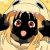 Avatar for Jiggly-Balls from gravatar.com