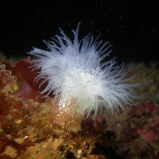 Avatar for Austin from gravatar.com