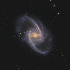 Avatar for R4yan from gravatar.com