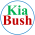 Avatar for kiabush from gravatar.com