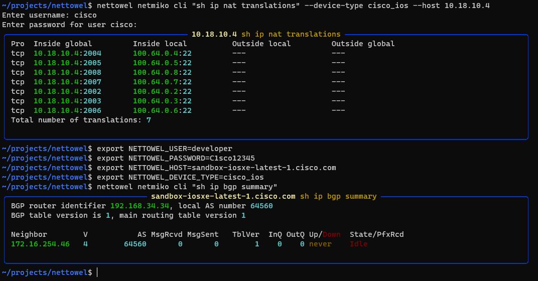 netmiko cli