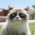 Avatar for egorsmkv from gravatar.com