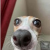 Avatar for plybq from gravatar.com