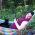 Avatar for rasch from gravatar.com