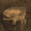 Avatar for wyc from gravatar.com