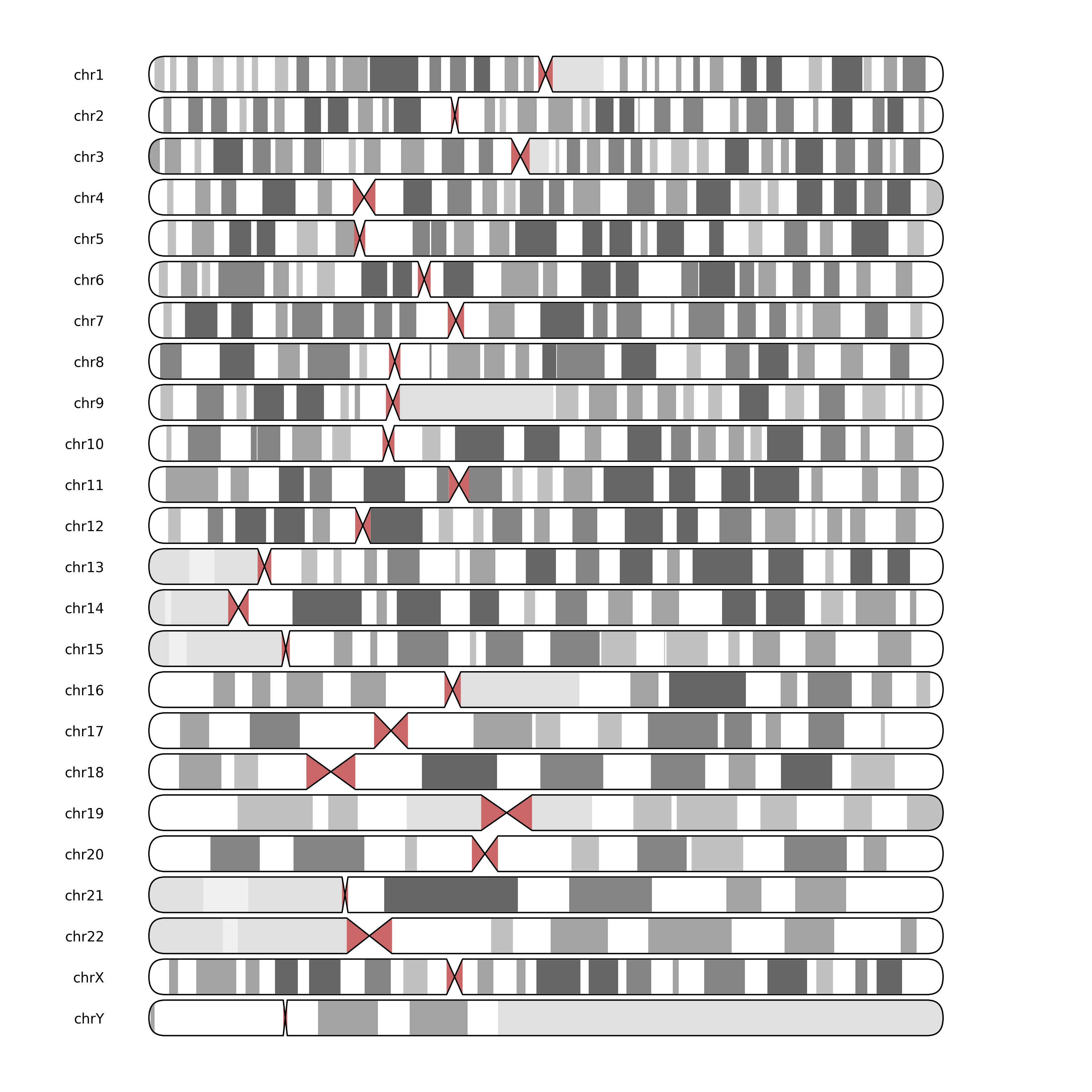 Example ideogram grid 1