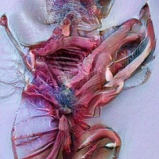 Avatar for chad480 from gravatar.com