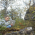 Avatar for t0ha from gravatar.com
