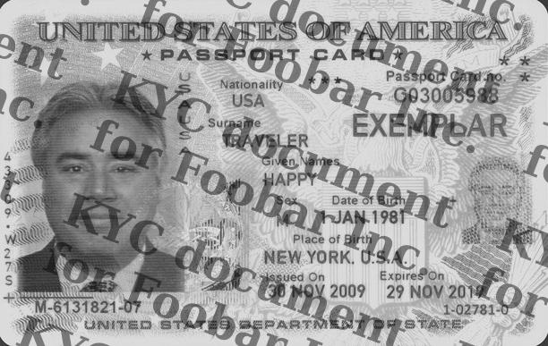 watermarked passport