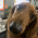 Avatar for aliendb from gravatar.com