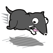 Avatar for Curtis Schlak from gravatar.com