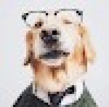 Avatar for maxzs from gravatar.com