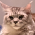 Avatar for Siyuan_Feng from gravatar.com