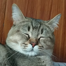 Avatar for Martindlut from gravatar.com