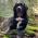 Avatar for ewdegraaff from gravatar.com