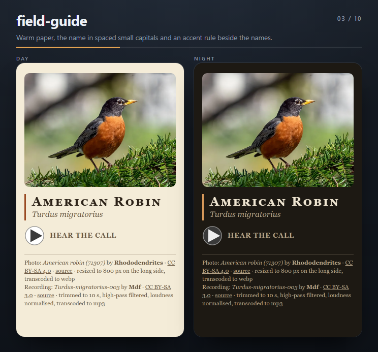 The field-guide theme