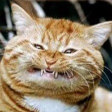 Avatar for Vilmundur Pálmason from gravatar.com