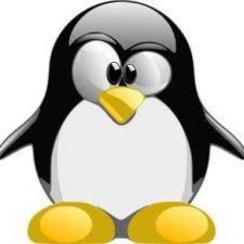 Avatar for Denis Pauk from gravatar.com