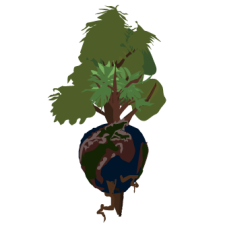 Avatar for decipherone from gravatar.com