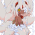 Avatar for Faputa from gravatar.com