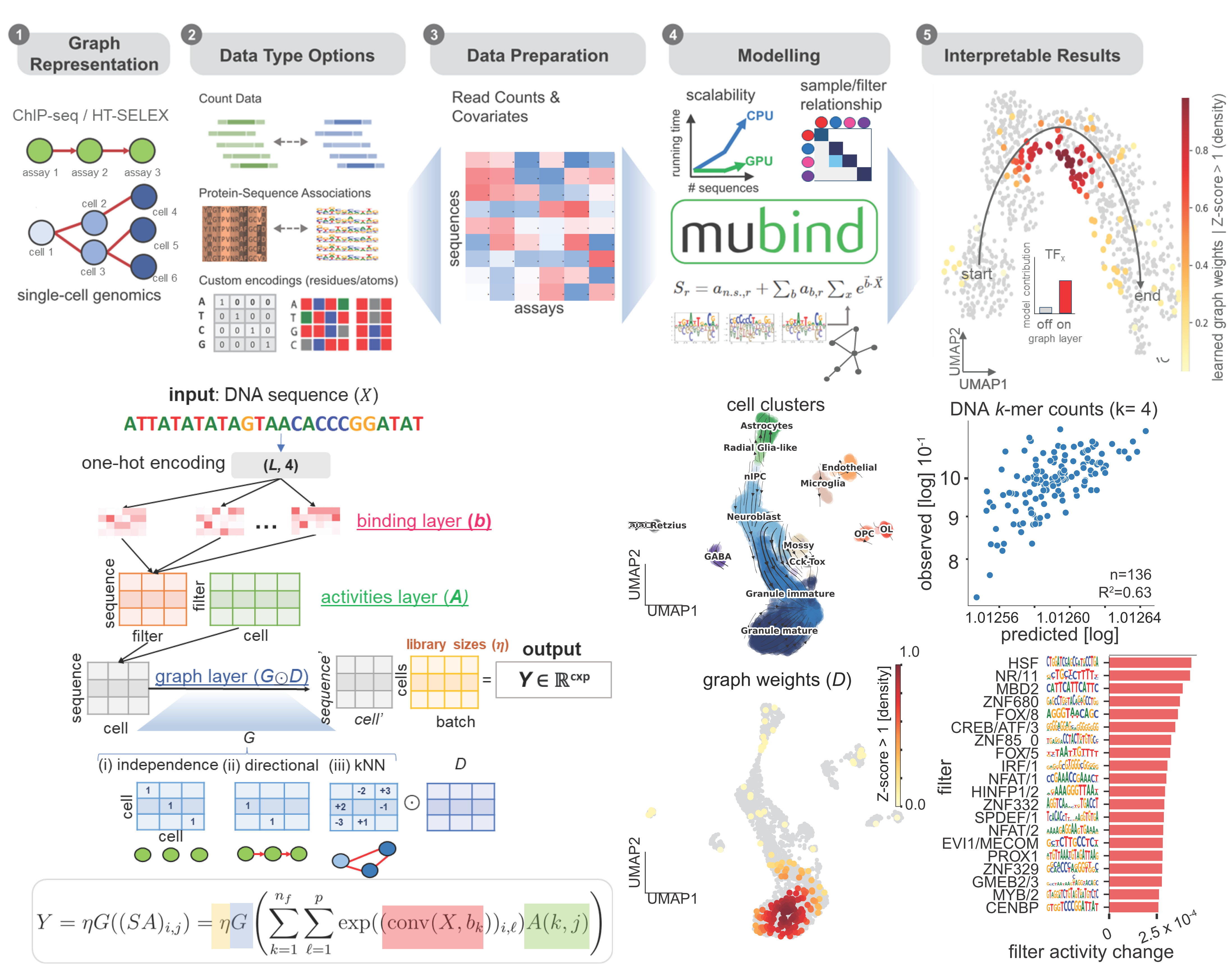 mubind workflow