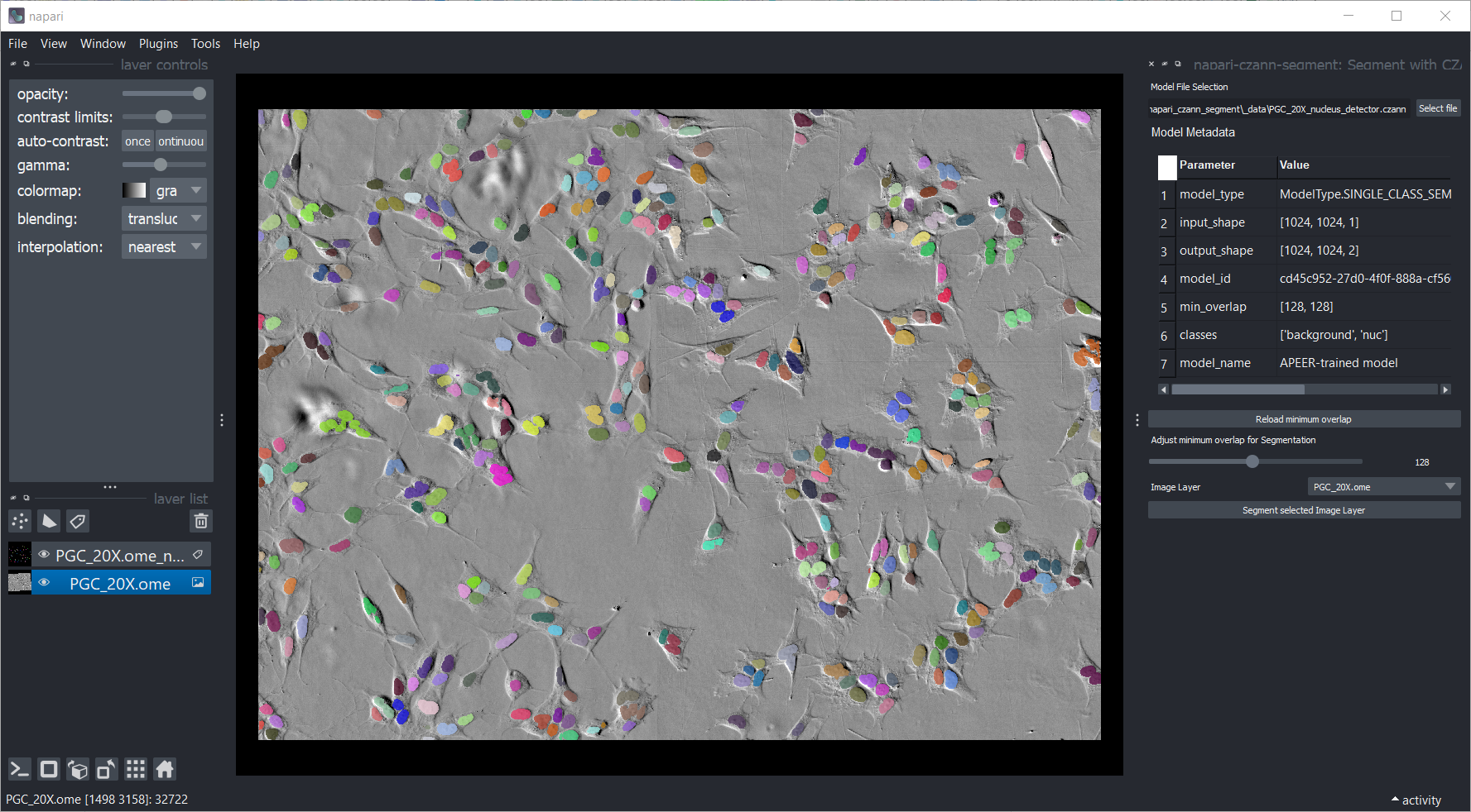 Napari - Image successfully segmented