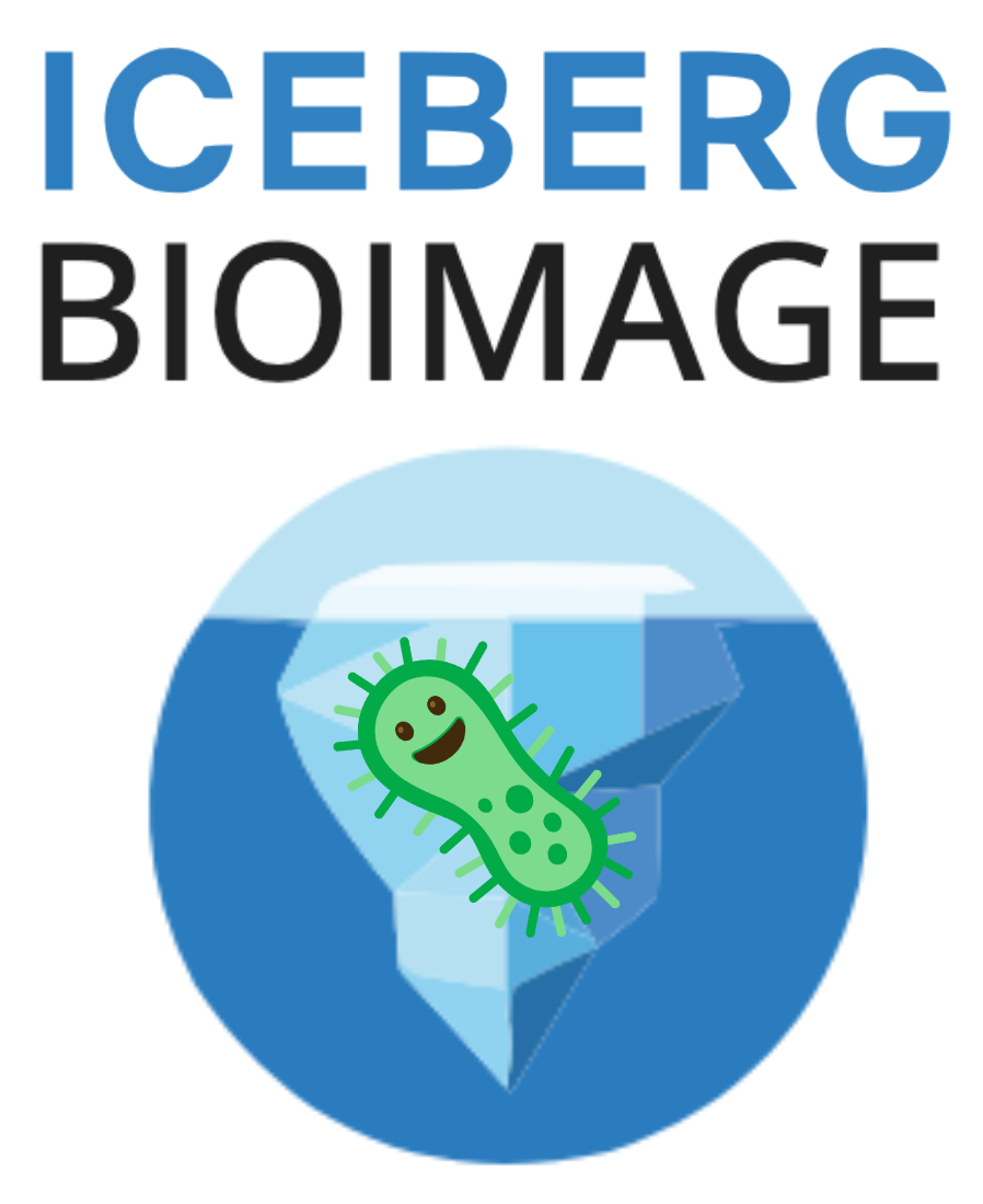iceberg-bioimage logo