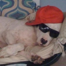 Avatar for quaik8 from gravatar.com