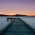 Avatar for 25349023 from gravatar.com