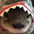 Avatar for weebthepro from gravatar.com