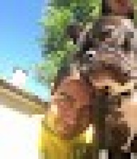 Avatar for Rodrigo da Silva from gravatar.com