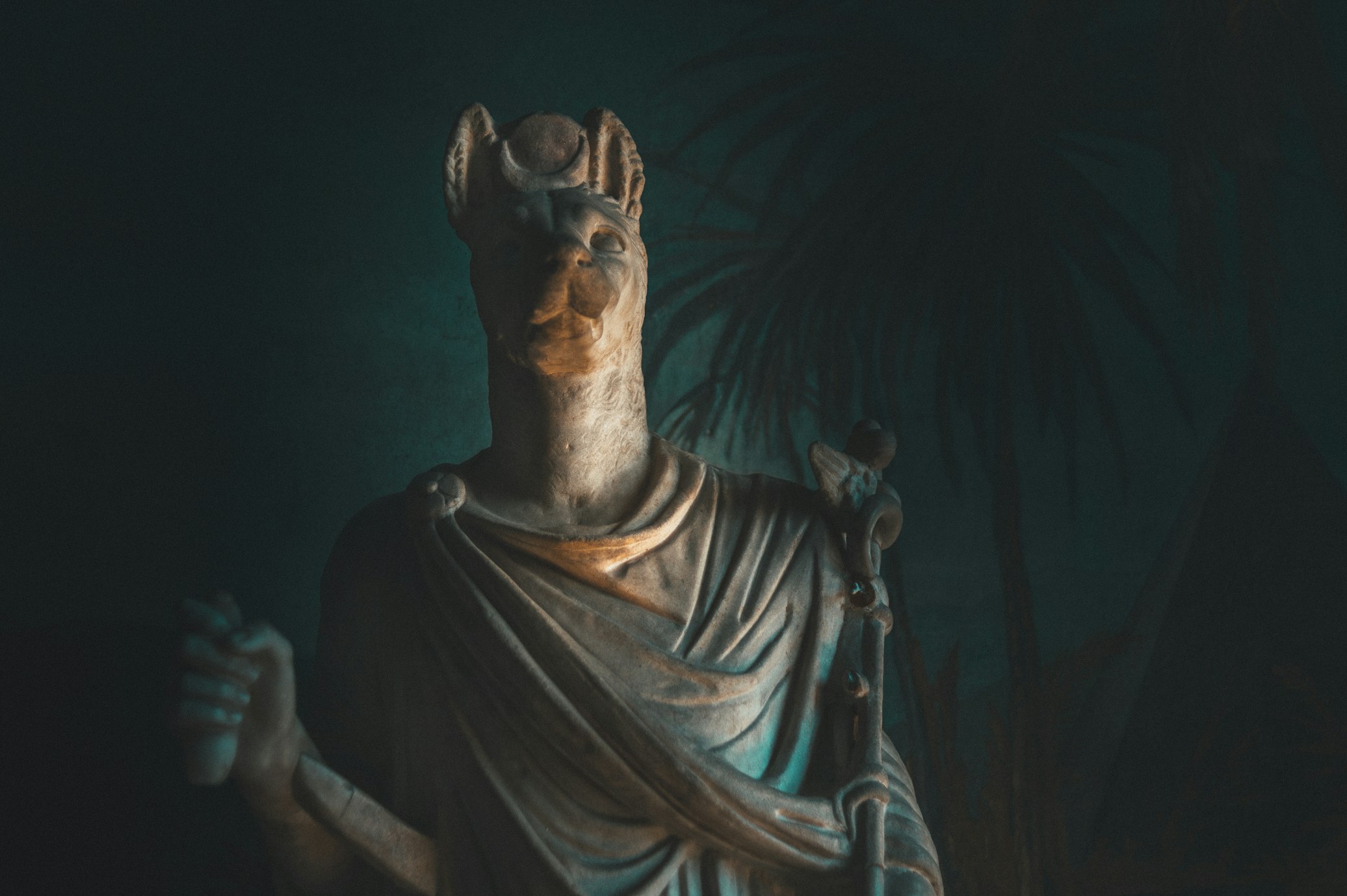 Anubis