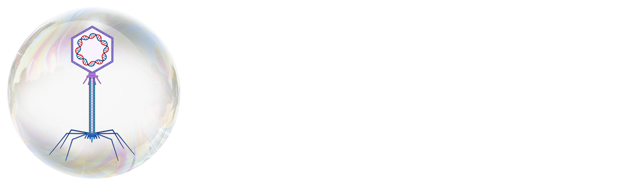 phables logo