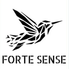 Avatar for Fortesense Labs from gravatar.com