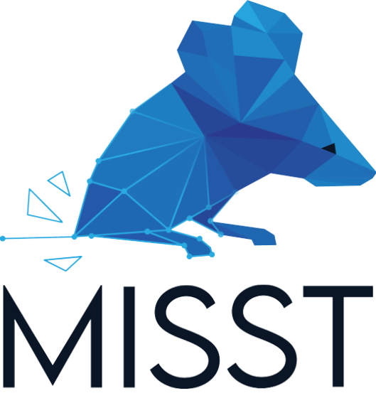 MISST's Logo