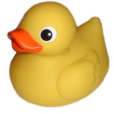 Avatar for The Mighty Rubber Duck from gravatar.com