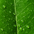 Avatar for lyhiving from gravatar.com