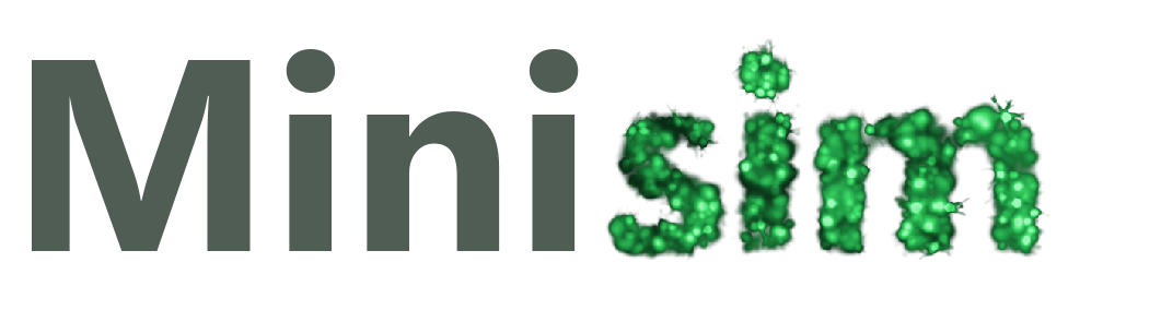 Minisim