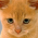 Avatar for yeukhon from gravatar.com